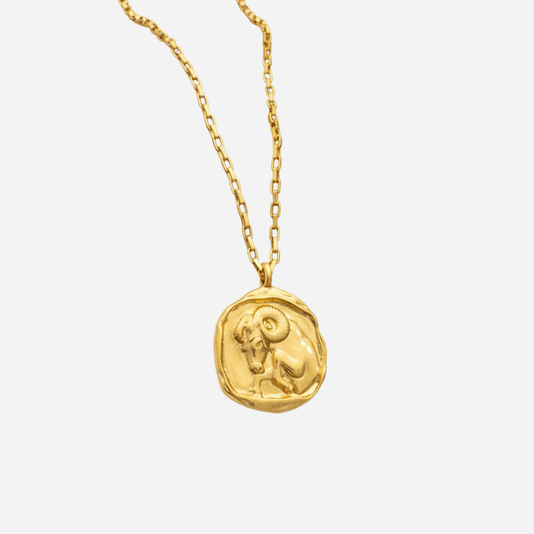 Zeki – Zodiac Medallion Necklace in Gold