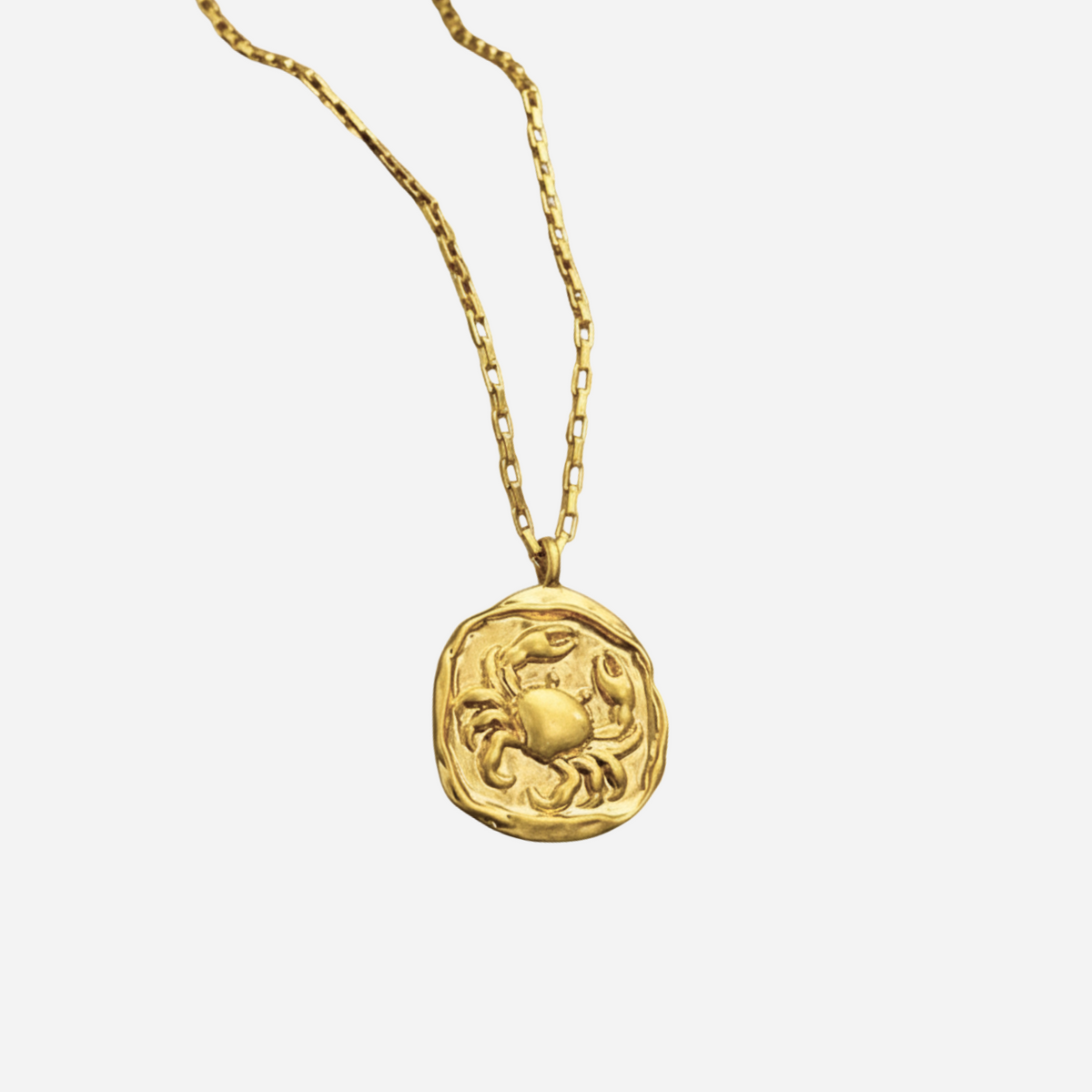 Zeki – Zodiac Medallion Necklace in Gold